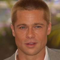 Beruang Usik Rumah Brad Pitt